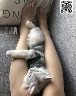 美景之屋2甜美情事bd中字观看_DVD影视在线观看
