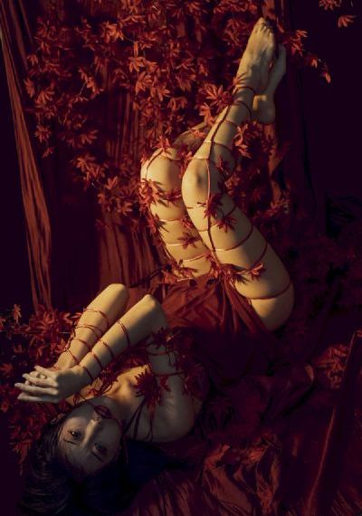比星光美丽电视剧免费观看_1080P在线播放观看