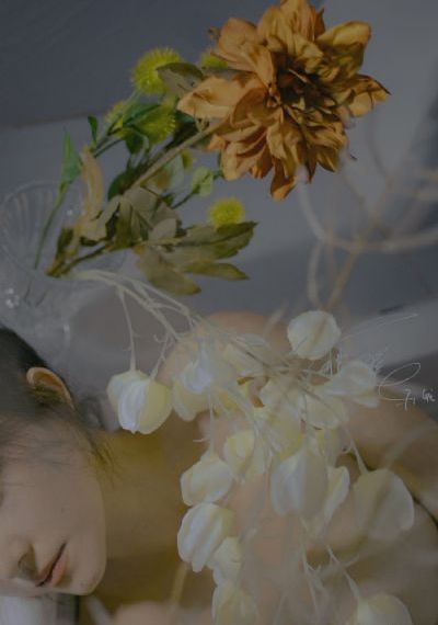 少妇的诱惑免费观看_1080P免费电视剧